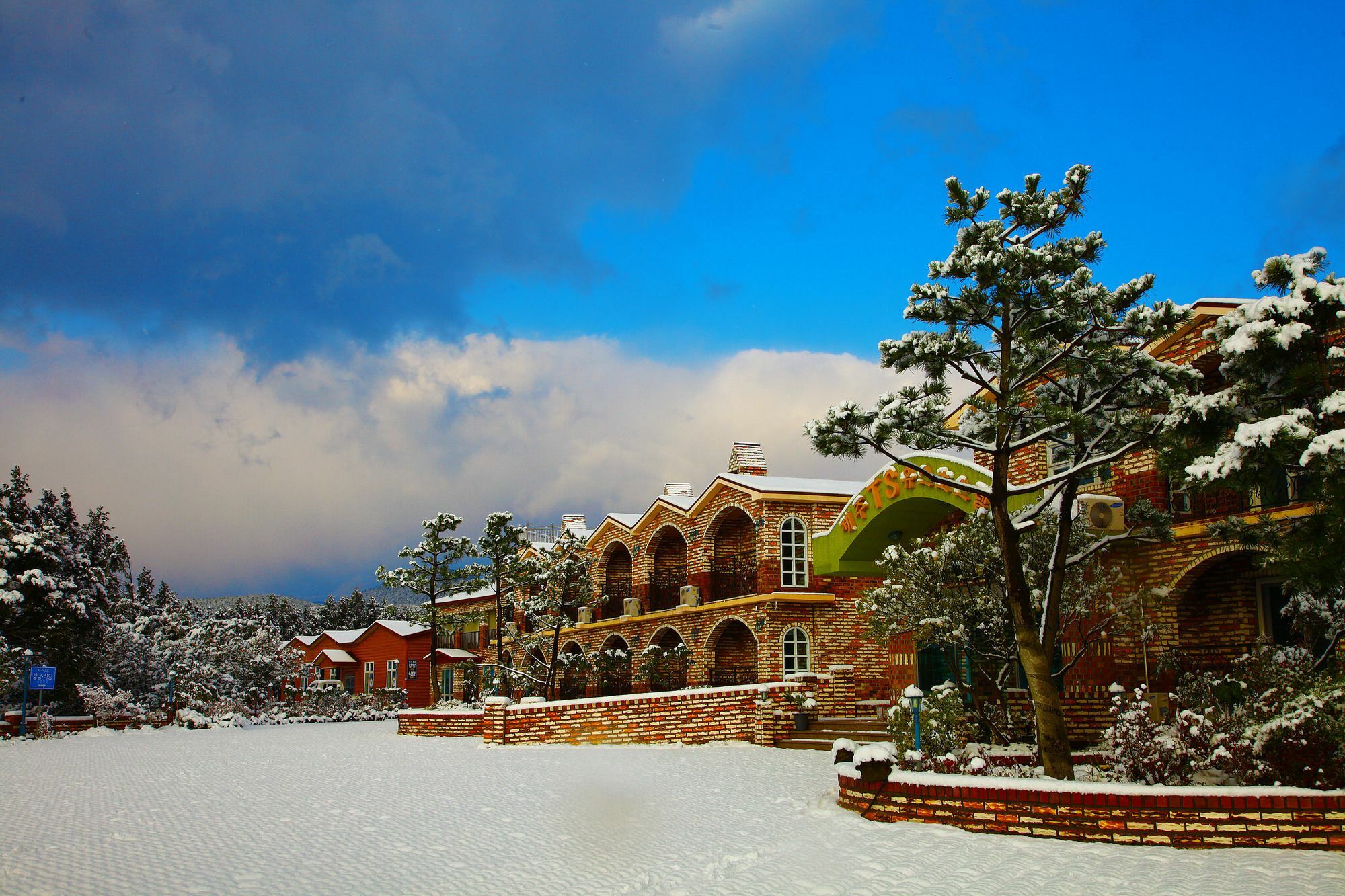 Jeju Ts Youth Hostel & Resort Σεογκουίπο Εξωτερικό φωτογραφία