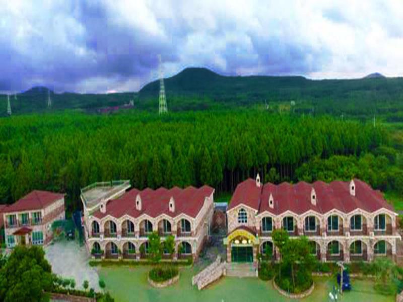 Jeju Ts Youth Hostel & Resort Σεογκουίπο Εξωτερικό φωτογραφία